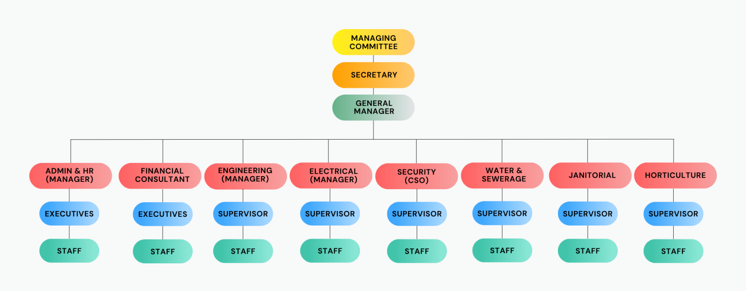 Org-Chart-2048-×-800-px-1536×600